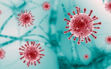 Minden, amit a koronavírusokról tudni érdemes